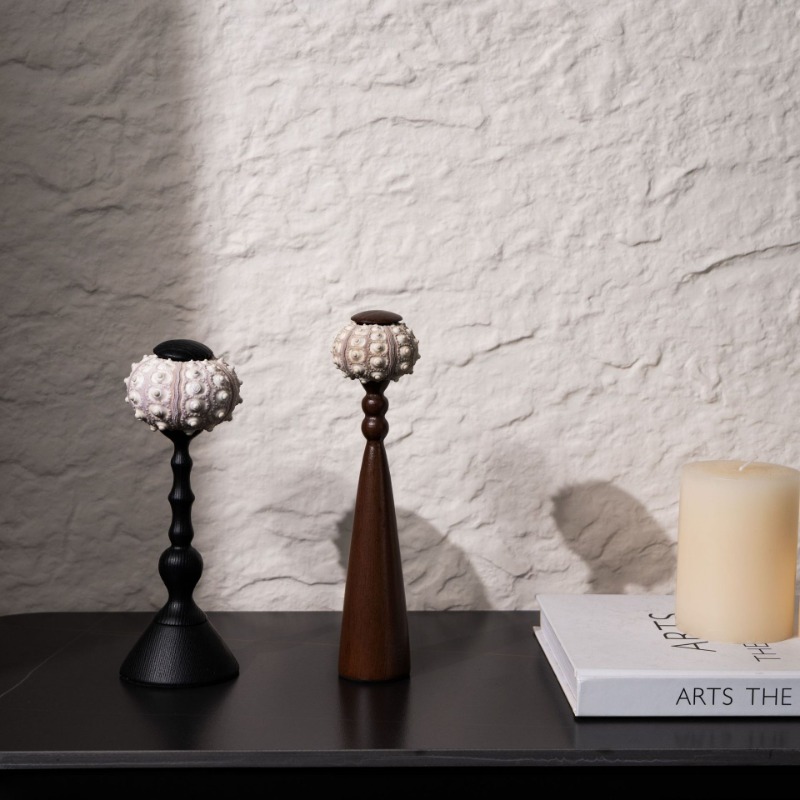 Interior Design Organic Modern - 창의적인 소라 조각품, 수공예 바다에서 영감을