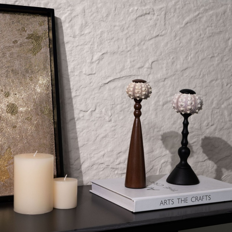 창의적인 소라 조각품, 수공예 바다에서 영감을 받은 예 - Interior Design Organic Modern 리뷰 및 가격
